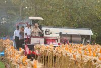 Presiden RI Prabowo Subianto saat Panen Raya Jagung di Tuban