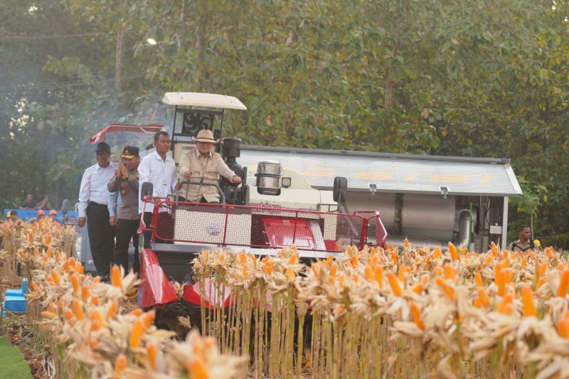 Presiden RI Prabowo Subianto saat Panen Raya Jagung di Tuban