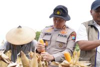 Kapolres Bojonegoro AKBP Afrian Satya Permadi saat Panen Raya Jagung