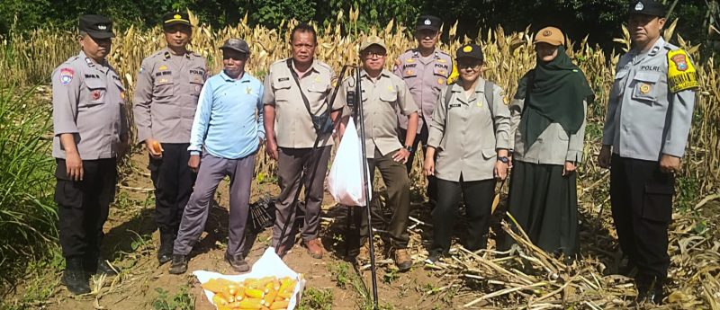 Polresta Malang Kota panen jagung bersama petani