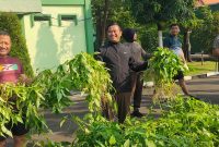 Danrem 084/Bhaskara Jaya Brigjen TNI Kohir panen raya bersama prajurit