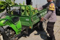 Polres Pelabuhan Tanjung Perak Panen Buah