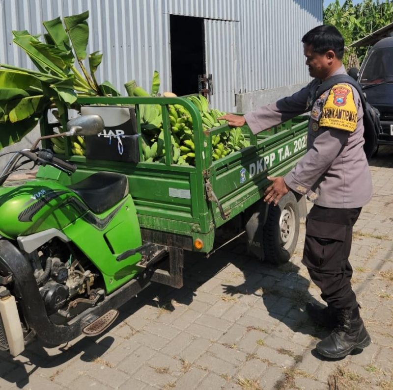 Polres Pelabuhan Tanjung Perak Panen Buah