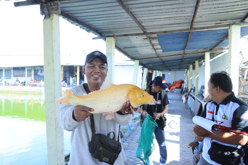 Kapolres Gresik Cup Fishing Championship