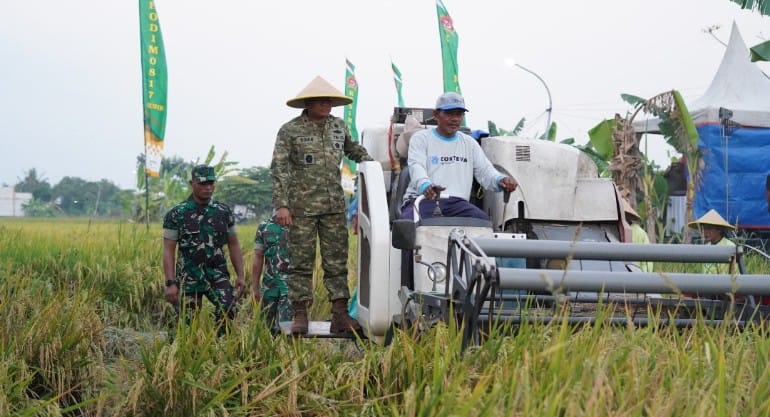 Danrem 084/Bhaskara Jaya Brigjen TNI Kohir saat panen raya