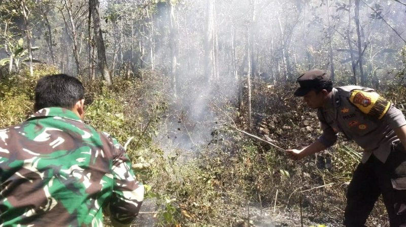 Polsek Sine bantu padamkan kebakaran lahan di kawasan Bukit Gogor