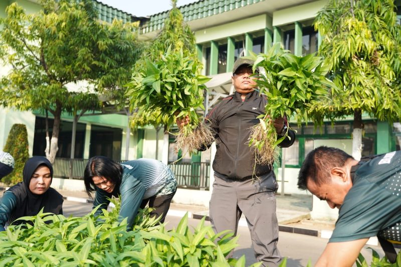 Danrem 084/Bhaskara Jaya Brigjen TNI Kohir saat panen sayuran
