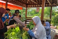 Polsek Krembangan bersama kelompok tani Dorang Cinta panen sawi Caisin Hidroponik