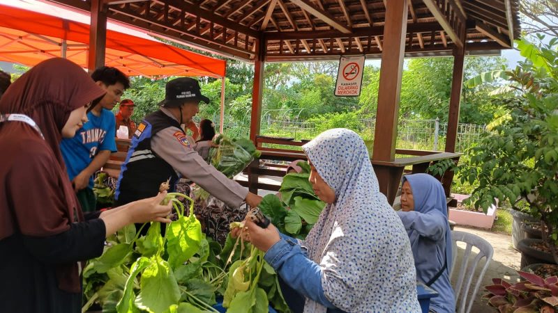 Polsek Krembangan bersama kelompok tani Dorang Cinta panen sawi Caisin Hidroponik