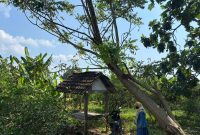 Lokasi pengobatan alternatif