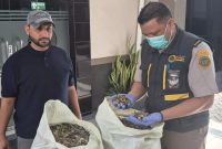 Penutup cangkang siput laut