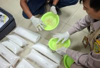Barantin amankan barang bukti 30.789 Puerulus