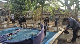 Polres Nganjuk bongkar lokasi sabung ayam