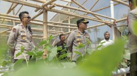 Kapolres Blitar AKBP Ardhy Zul Hasbih Nasution tinjau pemanfaatan lahan produktif