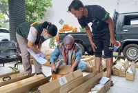 Karantina Jatim cek tanaman hias dari Bandara Malang
