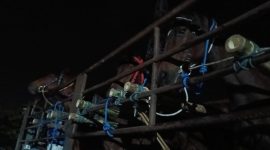 Karantina Jatim periksa kuda asal Kediri