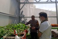 Polres Pelabuhan Tanjung Perak berdayakan petani tanam Golden Melon