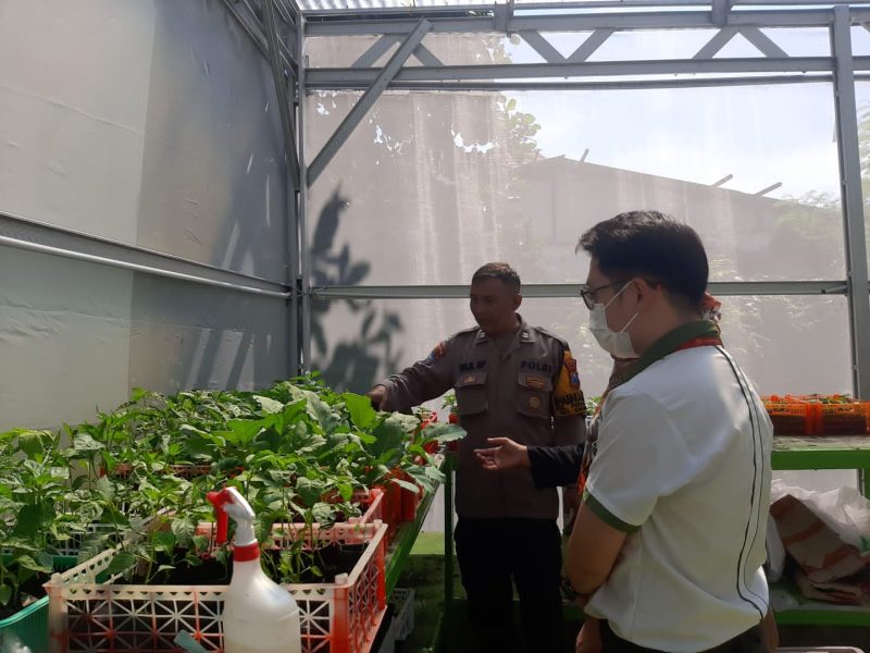 Polres Pelabuhan Tanjung Perak berdayakan petani tanam Golden Melon