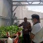 Polres Pelabuhan Tanjung Perak berdayakan petani tanam Golden Melon