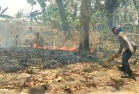 Polisi bersama warga cegah Karhutla di hutan Panceng