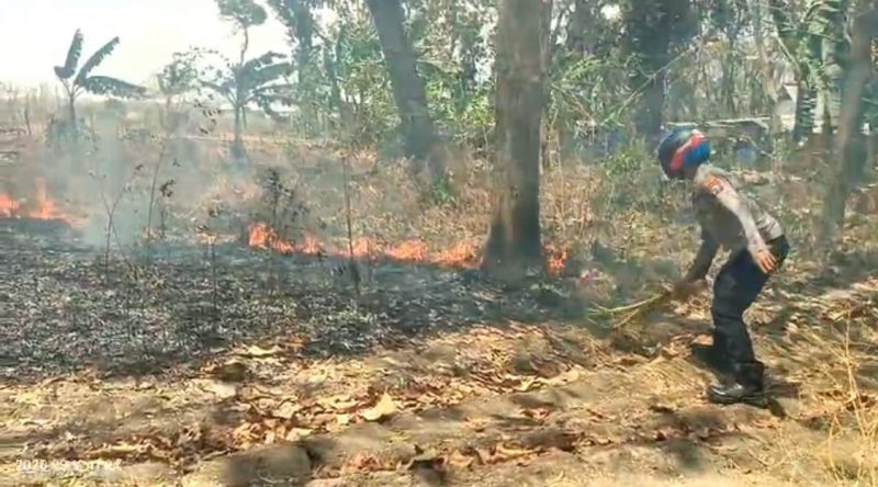 Polisi bersama warga cegah Karhutla di hutan Panceng