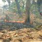 Polisi bersama warga cegah Karhutla di hutan Panceng