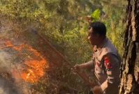 Polres Magetan tangani Karhutla di Lereng Gunung Lawu