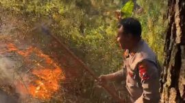 Polres Magetan tangani Karhutla di Lereng Gunung Lawu