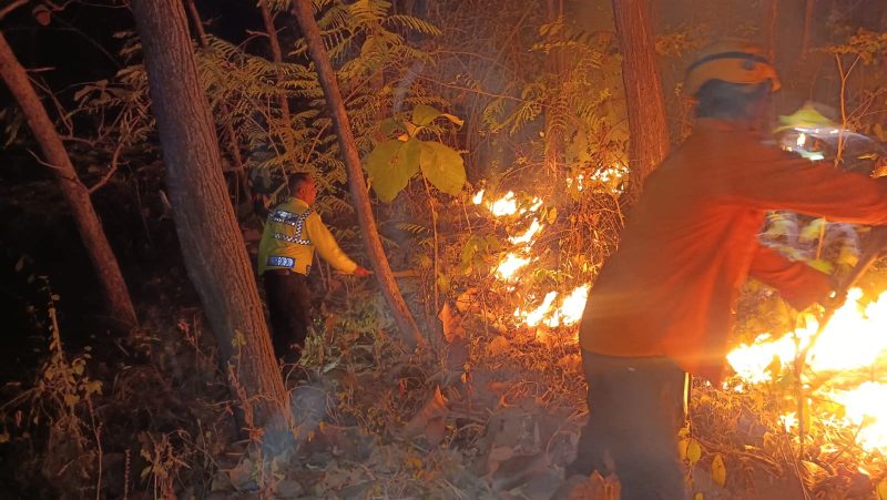 Sinergi Polsek Bungkal jinakkan Karhutla