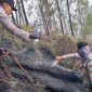 Polres Blitar Jinakkan Api di Gunung Buthak