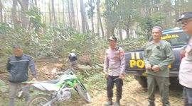 Polres Bondowoso bersama dinas terkait patroli kawasan hutan