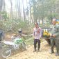 Polres Bondowoso bersama dinas terkait patroli kawasan hutan
